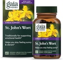 Gaia Herbs St. John's Wort, Vegan Liquid Capses, 60 Count - Υποστήριξη του στρες για την προώθηση μιας θετικής και ηλιόλουστης διάθεσης