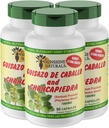 Sunshine Naturals Guisazo & Chancapiedra Herbal Blend, φυσικό συμπλήρωμα διατροφής για την υποστήριξη ευεξίας, 90 κάψουλες. Συσκευασία των 3