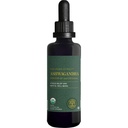 Global Healing Center - Organic Ashwagandha Supplements Drops - KSM-66 Ashwagandha Extra Strength for Men & Women, Helps Promote Relief from Stress, Mood Support, Organic (2 Fl Oz)