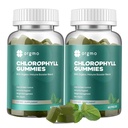 Chlorophyl Gummies for Body Odor Deodorant 2 Pack, Sugar Free Vitamins D Gummy 1000IU, ACV Spirulina Chlorella Herbal Supplement for Women Immune Support Vegan Non-GMO