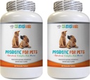 Προβιοτικά πεπτικά ένζυμα σκύλου - PET PROBIOTIC - σκυλιά και γάτες - ΨΗΦΙΑΚΗ ΠΡΟΣΟΧΗ - ΝΑ ΦΥΓΕΤΕ ΑΠΟ ΚΑΚΗ ΑΝΑΠΝΕΩΣΗ ΚΑΙ ΝΑ ΣΤΑΜΑΤΕ DIARRHEA - lactobacillus sialorius probiotic - 2 μπουκάλια (120 Θεραπείες)
