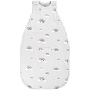 Woolino Merino Wool Ultimate Baby Sleep Sack - 4 Season Baby Wearable Κουβέρτα - Two-Way Zipper Sleeping Babies and Toddlers - Universal Size (2-24 Μήνες) - Rainbow