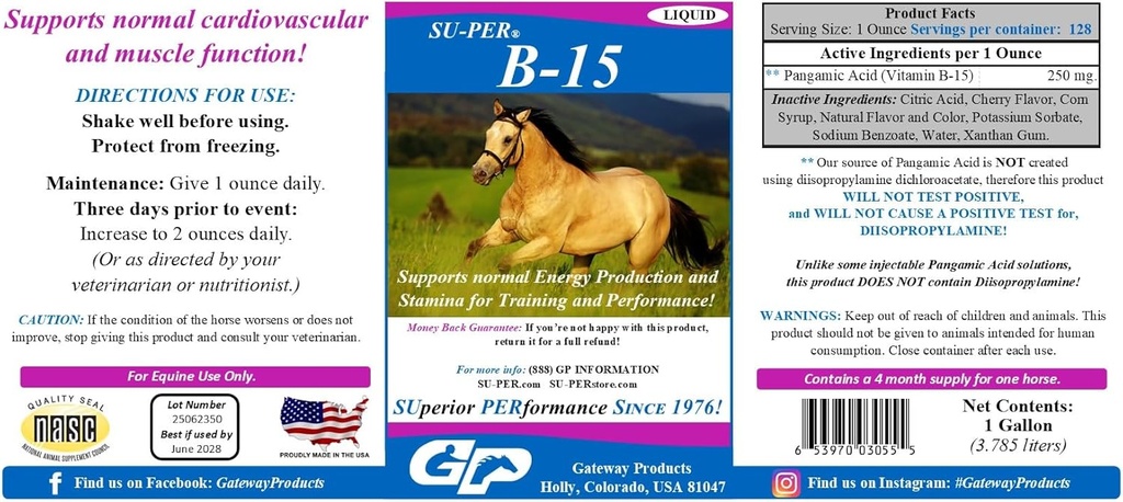 SU-PER B-15 συμπλήρωμα βιταμίνης για άλογα - Equine Vitamin B-15 Liquid for Performance Support - Υποστηρίζει την κανονική καρδιοαγγειακή ανοσοποιητική & μυϊκή λειτουργία - 1 Gallon + αντλία, 4 μήνες προσφοράς