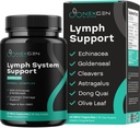 Herbal Lymph System Support Supplement - Lymphatic Support Complex with Echinacea Goldenseal Astragalus & Hydroxytyrosol for Lymphatic Drainage & Immune Support - Vegan Non-GMO Gluten Free (1 Month)