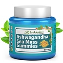 HERBOGANIC Ashwagandha Sea Moss Gummies - 60 κόμης