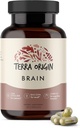Terra Origin, Healthy Brain Supplement, Κάψουλες, 30 εξυπηρετούν, με CDP Choline, Ginkgo Biloba Extract, και Bacopa - για υγιή μυαλό, βελτιώνει τη μνήμη, ανάκληση και λειτουργία