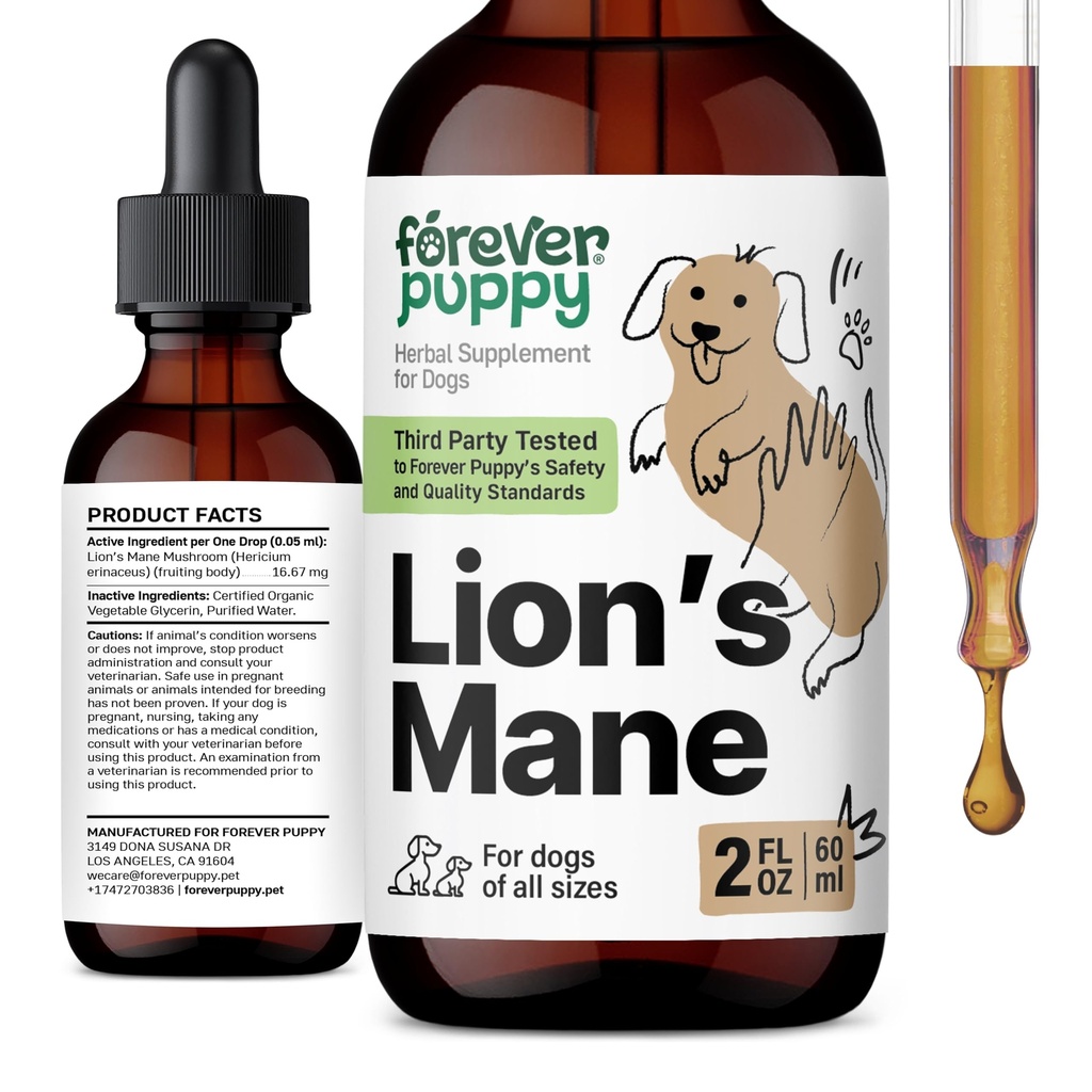 Forever Puppy Lions Mane Mushroom Supplement for Dogs - Brain & Focus Support - Liquid Lion's Mane Mushroom for Dogs - Βιταμίνες και συμπληρώματα κυνικών - Ζάχαρη & Αλκοόλ-Free Drops - 2 fl oz
