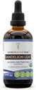 Μυστικά της φυλής Dandelion Leaf Βάμμα USDA Organic Alcohol-Free Extract, Υψηλής ισχύος φυτικές σταγόνες, Βάμμα κατασκευασμένο από Taraxacum Officinale Healthy Digestive System 4 oz