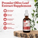 Rejuvica Active Olive Leaf Extract 