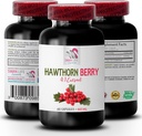 κάψουλες εκχυλίσματος μούρων hawthorn - HAWTHORN BERRIES EXTRACT - εκχύλισμα μούρων σκόνη, άγρια ενέργεια μούρων, χάπια ενέργειας hawthorn, βάμμα μούρων hawthorn, συμπλήρωμα αντιοξειδωτικών για τις γυναίκες 1 Bot 60 Caps