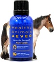 HA4E - Horse Anemia Υποστήριξη - Βοηθά στην πρόληψη ασθενειών & παρασίτων - Εξαιρετικά αποτελεσματική, φυσική ομοιοπαθητική συμπλήρωμα - 300 Tabletισκία