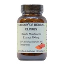 Barlowe's Herbal Elixirs Reishi Mushroom Extract Supplement | Red Reishi | Ganoderma Lucidum |30% Polysaccharides| 6% Triterpenes | 500mg | 60 Veggie Capsules