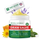 OWELL Naturals Ζωγραφίζοντας Salve Ointment για την αφαίρεση βράχων & κύστεων, βαθιά ενσωματωμένα μαλλιά, Splinter Remover, Bug Spider Bites, Bee Sting, Mosquito Iching, Poison Ivy