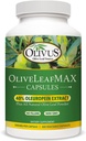 OliveLeafMAX Olive Leaf Extract (40% Oleuroepin) + Organic Olive Leaf Powder + No Fillers + 300 Vegetarian Capsules + Sourced from Spain and Manufactured in USA at GMP Facility