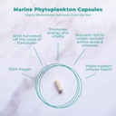 Διατροφή ζωής Vegan - Θαλάσσιες κάψουλες Phytoplankton - Χωρίς γλουτένη, Vegan και μη ΓΤΟ Συμπλήρωμα διατροφής με Alpha 3 CMP για την υποστήριξη της κυτταρικής υγείας, ενέργειας, & ζωτικότητα - 30 κάψουλες