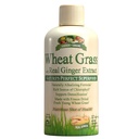 Κήπος Πράσινοι Σιτάρι Grass Υγρό με Real Ginger Extract, Perfect Superfood της φύσης, 32 μερίδες