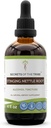 Secrets of the Tribe Stinging Nettle Root Alcohol Extract, High-Potency Herbal Drops, Tincture Made from Stinging Nettle (Urtica dioica) Dried Root 4 oz