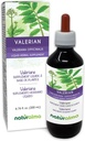 Naturalma Valerian (Valariana officinalis) Ρίζα Αλκοόλ-ελεύθερο Βάμμα - 6.76 fl oz Liquid Extract in Drops - Βότανο συμπλήρωμα - Vegan