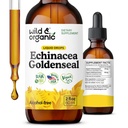 Άγρια & οργανικά Echinacea Goldenseal Liquid Drops - ανοσοποιητικό συμπλήρωμα υποστήριξης w/Goldenseal Echinacea Root Extract - Vegan, Ζάχαρη & Αλκοόλ-ελεύθερο Βάμμα - 2 fl oz