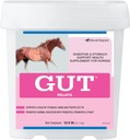 GutTM Pellets 