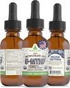 RawGuru L-Methylfolate 15 mg + Βιταμίνη B12 - Βιολογικό Vegan methylated B12 με Trace Minerals - Nano-Processed & Enhanced Liquid Formula - 300 Servings Vegan Drops ανά 30 ml, Συσκευασία 1