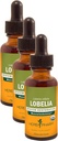 Βότανο Pharm Certified Organic Lobelia Liquid Extract για την υποστήριξη του μυοσκελετικού συστήματος - 1 ουγγιά (DLOBEL01) (πακέτο των 3)