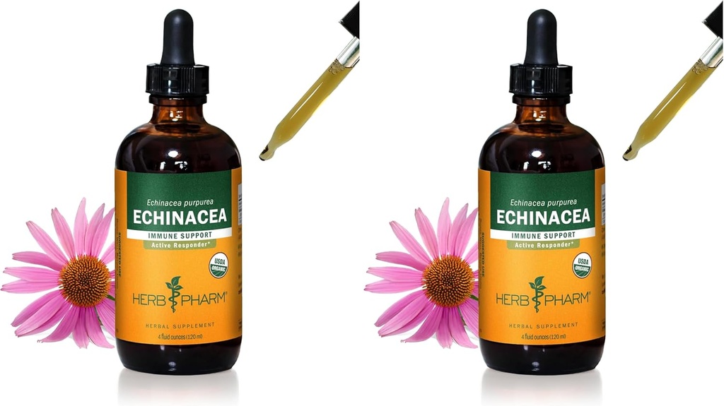 Βότανο Pharm Certified Organic Echinacea Root Liquid Extract for Immune System Support, Organic Cane Alcohol, 4 Ουγγιά (Pack of 2)