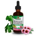Nature's Answer Echinacea & Goldenseal with Organic Alcohol, 2-Fluid Ounces