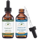 Native Remedies Complete Sciatigon ComboPack - Όλα τα φυσικά φυτικά συμπλήρωμα βοηθά στη μείωση της πίεσης για το Sciatic Nerve και φυσικό ομοιοπαθητικό Remedy μειώνει τον πόνο, το στράγγιγμα και τη Numbness