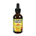 Ζωή της φύσης B-12 σταγόνες, Methlycobalamin 4 oz (2 Fl Oz (πακέτο του 1))
