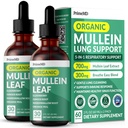 5-in-1 Mullein Drops for Lungs and Bronchial - Αναπνευστική Lung Health Support with Mullen Leaf Extract for Lungs - Mullein Tincture with Elderberry, Echinacea and Ginger Root (60 Servings) (2-pack)