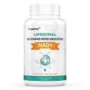 Orgabay Liposomal NAD+ Supplement 500 mg, High Absorption, Boost NAD+ with TMG 250 mg, Actual NAD Plus More Efficient Than Nicotinamide Riboside, Support Cellular Energy, Healthy Aging | 60 Softgels