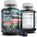 Terramineral Shilajit Gummies with Irish Sea Moss Tongkat Ali Ashwagandha Lion's Mane MACA Panax Ginseng Rhodiola & Cordyceps by Clean Nutra (1)