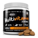 Πρόστιμο για κατοικίδια Multivitamin Dog Συμπλήρωμα – 10 σε 1 με Omega Fish Oil & Glucosamine για βελτιωμένη κοινή & δερματική υποστήριξη, κόκκαλο, πέψη & ανοσοποιητική καθημερινή υγεία (120 μασώμενα θεραπείες)