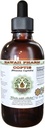 Coptis Alcohol-Free Liquid Extract, Coptis (Rhizoma Coptidis) Dried Root Glycerite Hawaii Pharm Natural Herbal Supplement 2 oz
