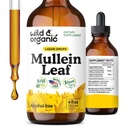 Βάμμα Άγριας & Βιολογικής Μαλλεΐνης - Lung Cleanse and Detox - Liquid Mullein Leaf Extract για Πνεύμονα με Echinacea - Verbascum Thapsus Drops - Vegan, Sugar & Alcohol-Free Supplement - 4 fl oz