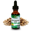 Nature's Answer Alcohol-Free Herbal Supplement, Astragalus Root, 2 Count