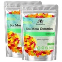 BIO VITALICA Sea Moss Gummies – με Bladderwrack & Burdock Root – Wildcrafted Gel + Powder – Vegan, Keto, Non-GMO, Gluten-free – Φρουτώδη Ορυκτά-Rich Gummies – 50 Count (2 Pack)
