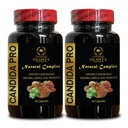 Candida Support Complex - Καψάκια Οργανικού Καπρυλικού Οξέως, Συμπλήρωμα Candida, Φυσικά Βότανα για Εντερική Αποτοξίνωση, Ενήλικες Κανονικότητα και Υγεία των Ούρων - 2 Φιάλες 120 Κάψουλες