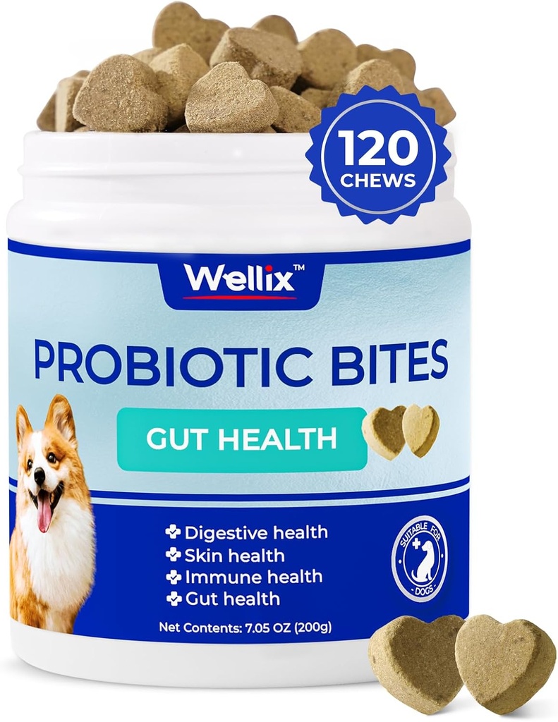 Wellix Probiotics για σκύλους - Σκύλος Probiotic Chews για σκύλους Digestive Υγεία, Αποτρέπει Διάρροια, Αλλεργίες - Κατά της διάρροιας, Αναστατωμένη Στομάχι & Αέριο Ανακούφιση