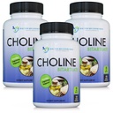 ΕΓΓΡΑΦΑ ΣΥΜΠΛΗΡΩΜΑΤΑ Premium Choline - 500 mg - 120 κάψουλες λαχανικών Υποστηρίζει Γνωστική Υγεία, Μνήμη & Περισσότερα - 3 Συσκευασία