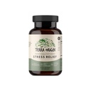 TERRA ORIGIN Healthy Stress Supplement | 60 Capsules | KSM-66 Organic Ashwagandha, L-Theanine, Rhodiola Extract, Astragalus Root and Holy Basil | Stress and Mood Support