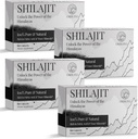 30.000 MG Shilajit Tablets, 100% Shilajit Pure, Ιμαλάια Βιολογικά, Shilajit για άνδρες και γυναίκες πλούσια σε Fulvic Acid & 85+ Trace Minerals, Shilajit συμπλήρωμα για την ενέργεια & ανοσοποιητικό σύστημα, 240 Count
