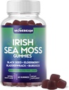 Ιρλανδέζικης θάλασσας Moss Gummies - με μαύρο σπόρο Elderberry Bladderwrack Burdock Turmeric Omega-3 Βιταμίνες C D3 ψευδάργυρος - Seamoss Συμπληρώματα για ενήλικες γυναίκες άνδρες - χωρίς ζάχαρη Χωρίς γλουτένη Vegan
