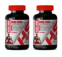 Χάπια μυός Builder για άνδρες - BRANCHED Αλυσίδα Amino Acid - BCAA 3000MG - bcaa Train and Recover - 2 μπουκάλια 240 δισκία