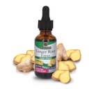 Απάντηση Ginger Root Extract συμπλήρωμα με οργανικό αλκοόλ 1 ρευστή ουγγιά 