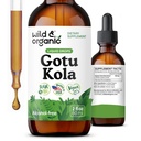 Άγρια & οργανικά Gotu Kola Βότανο Βάμμα - Υποστήριξη εγκεφάλου - Gotu Kola Σταγόνες υγρού εκχυλίσματος - Vegan, Ζάχαρη & Αλκοόλ-ελεύθερο Centella Asiatica συμπλήρωμα - 2 fl oz