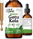 Wild & Organic Gotu Kola Herb Tincture - Brain Support - Gotu Kola Liquid Extract Drops - Vegan, Sugar & Alcohol-Free Centella Asiatica Supplement - 2 fl oz