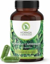 Moringa Premium 100% Pure Powder Capsules - Vegan, GMO Free, Green Superfood, Contains Calcium, Magnesium, Vitamin C, Vitamin B3, Vitamin A, Antioxidants - Energy, Metabolism, Immune Support -120 ct