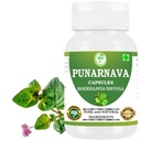 Κάψουλες Punarnava (Boerhaavia Diffusa) 500mg – 60 κάψουλες Veg 